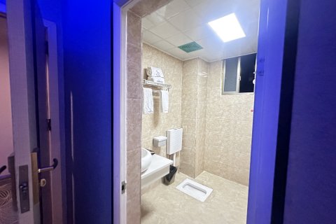 半岛假日酒店(元谋店)