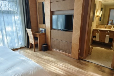 千岛湖温馨岛蝶来湖景度假酒店