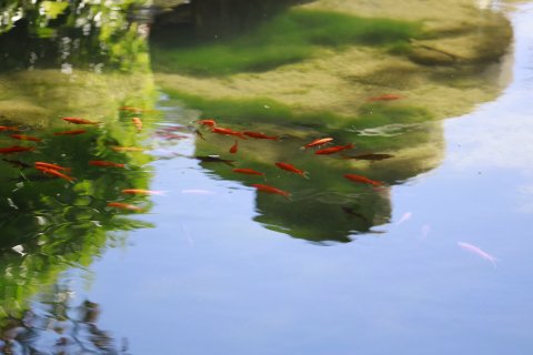 丽江康年丽水阳光酒店