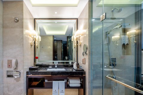 巴中天越岷山饭店