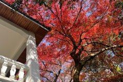 莫干山颐园·易经学大师的百年别墅 莫干山颐园·易经学大师的百年别墅