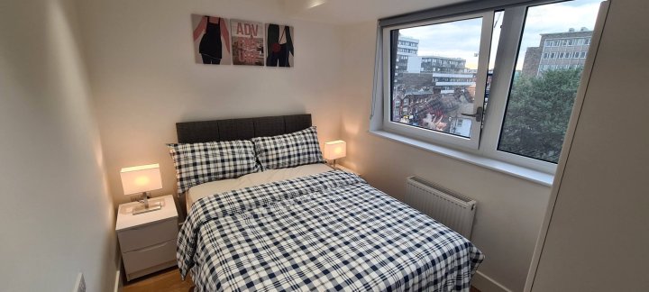 伦敦全新舒适两卧室公寓(Lovely, Entire 2 Bedroom New Apartmnt in London)
