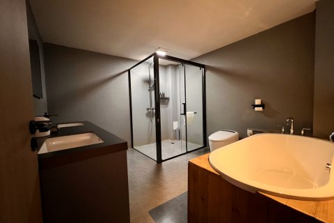 丽呈别院·九号院子(雪山观景店)