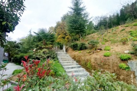 汉阴龙岗大酒店