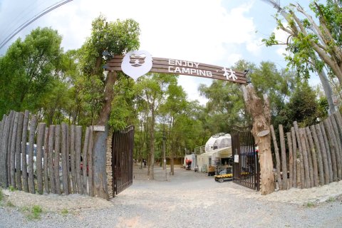 Enjoy camping·林露营地