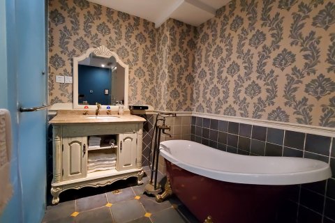 大邑塞纳假日古典法式酒店