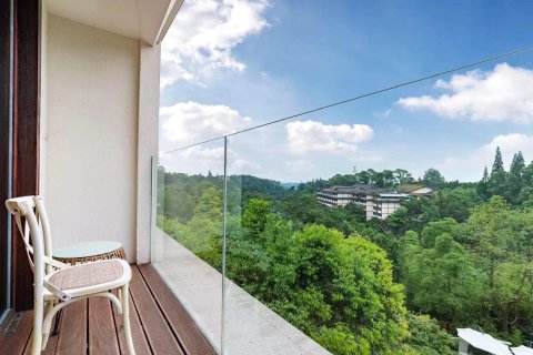 峨眉山拜愚庭云涧私汤民宿