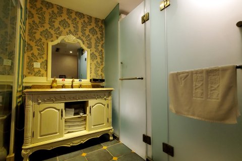 大邑塞纳假日古典法式酒店