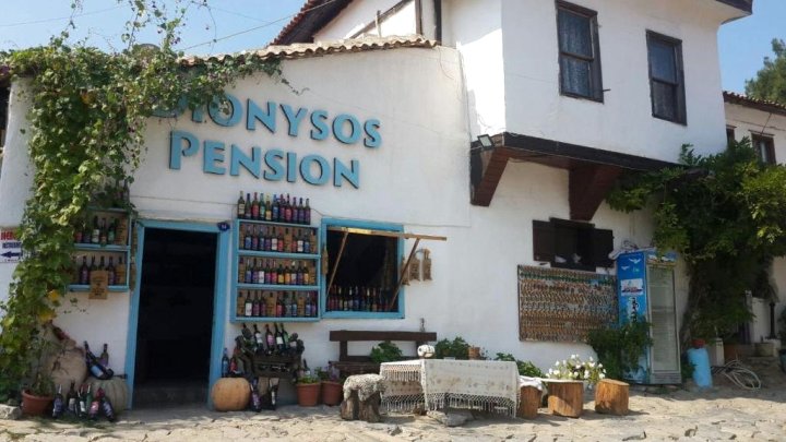 狄奥尼索斯酒店(Dionysos Pension)