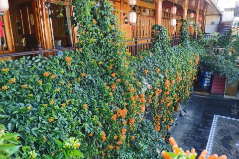腾冲市和顺镇半山听雨客栈
