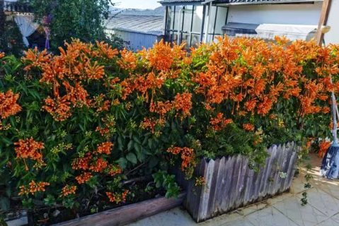 腾冲市和顺镇半山听雨客栈