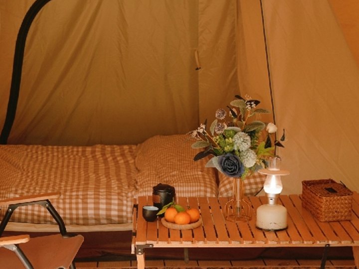 Enjoy camping·林露营地