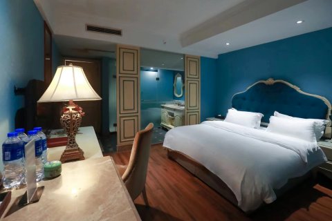 大邑塞纳假日古典法式酒店