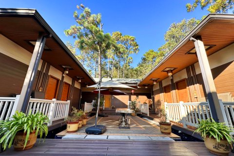 石屏龙韵养生谷别墅