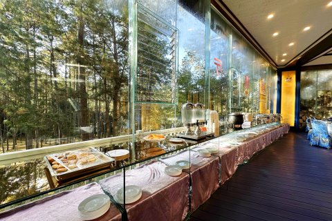 石屏龙韵养生谷别墅