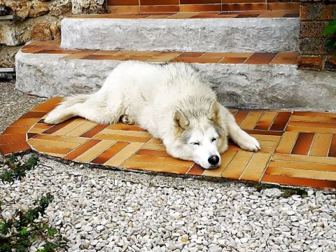 在Boursault的Le Temps D'une Pause(Le Temps d'Une Pause à Boursault)