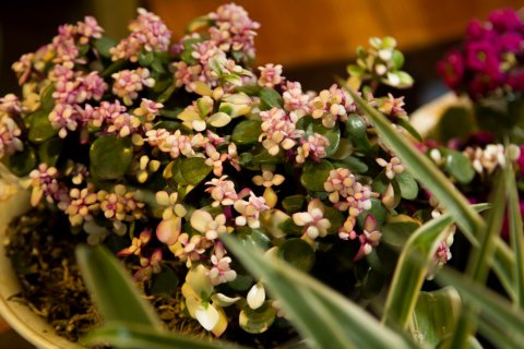 慧韵国际青年旅舍(客运站店)