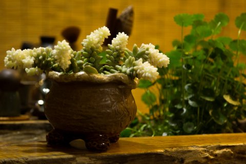 慧韵国际青年旅舍(客运站店)