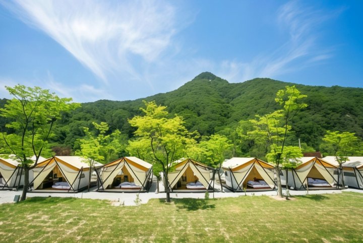 Pocheon Baegun Oyanggol Camping Site