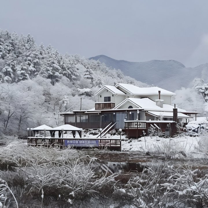 Villa Pension in Cheonan