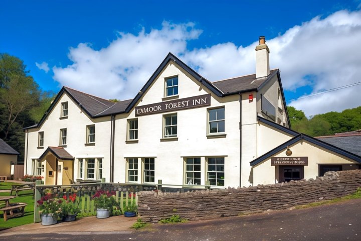 埃克斯穆尔森林旅馆(The Exmoor Forest Inn)