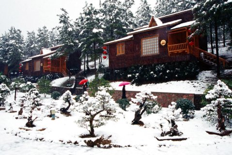 宁国恩龙世界木屋村