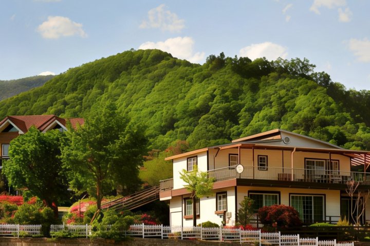 加平早晨山旅館(Gapyeong Morning Hill Pension)