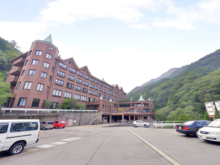 汤之山温泉 马罗尼耶酒店(Hotel de Marronnier Yunoyama Onsen)