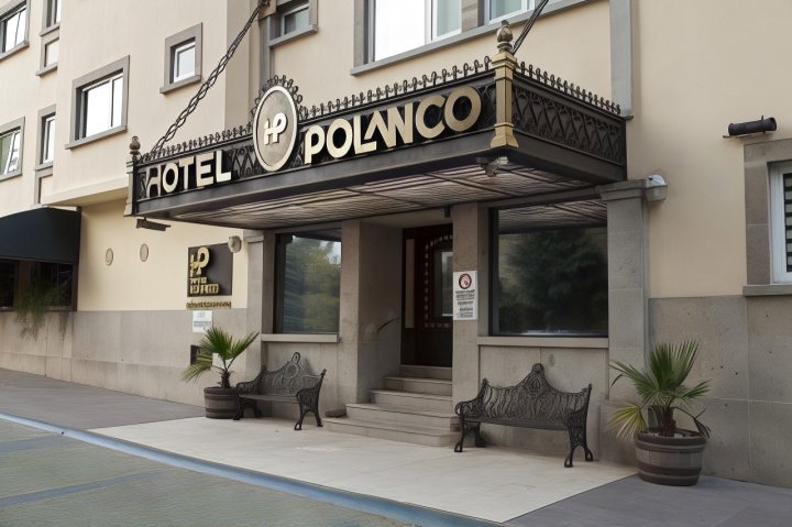 波朗科酒店(Hotel Polanco)