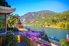 梧桐外树屋温泉院子