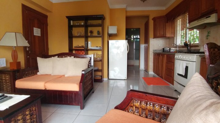 Cozy 1-Bedroom-Apartment Just 5 Minutes from Zona Colonial