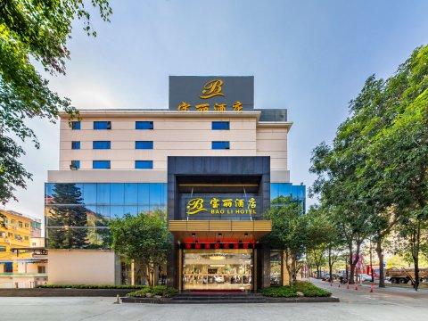 深圳宝丽酒店(龙岗塘坑地铁站店)