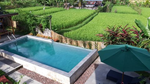 The Champuhan Villa - Honeymoon Villa with Rice Field View