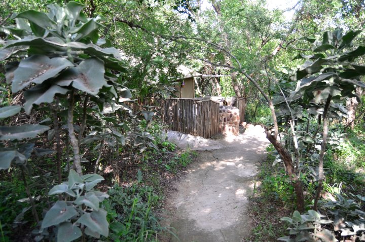 Pure Wilderness in Amanzimlotzi Riverside Bush Tent in Limpopo, Kruger Park