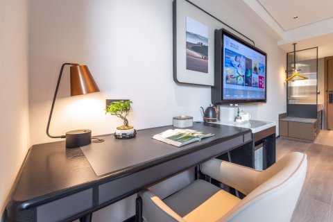 三亚政务中心河东路亚朵酒店