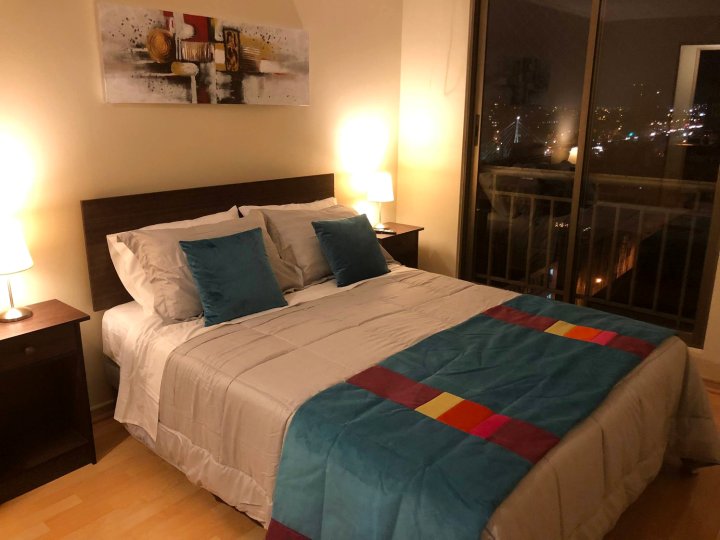 Apartment in Downtown of Santiago, Chile, One Room