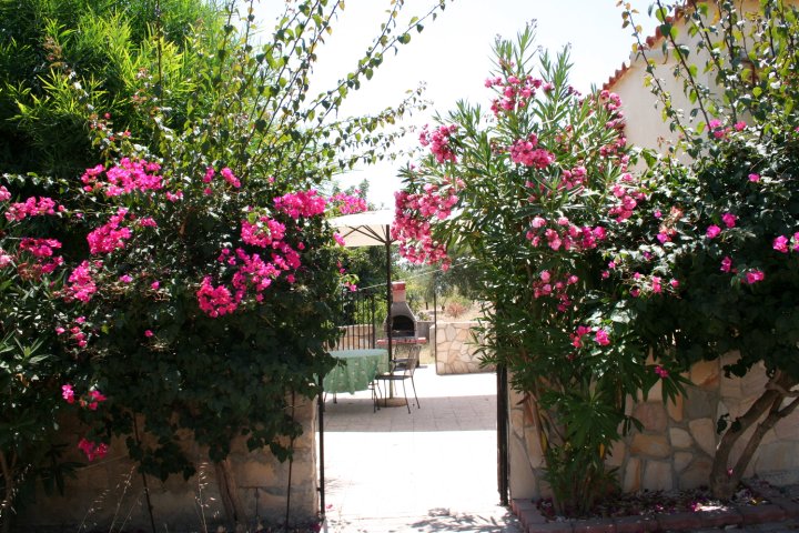 Villa Ambra - Noto (Siracusa) Between Olive Trees