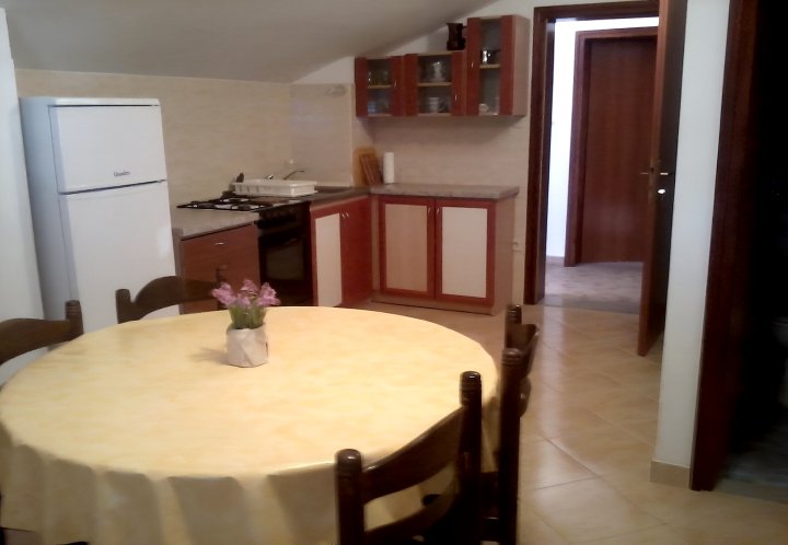 Apartment Darko A1 JEDNOSOBNI Vir, Zadar riviera