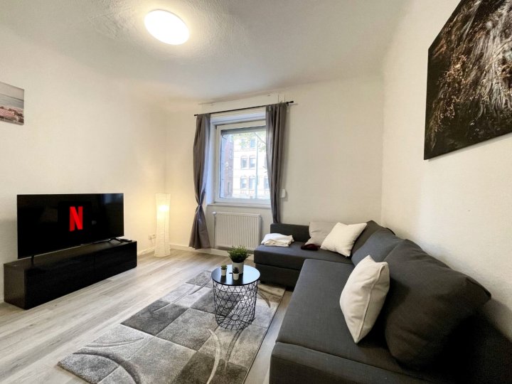 Newly Furnished Beautiful Apartment in the Center with Smart TV