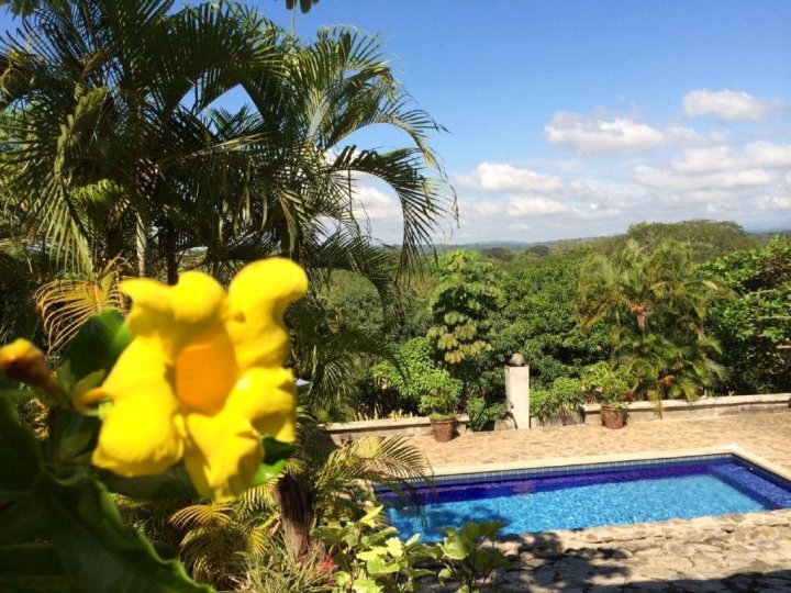 Architectural Home, Pool and High Speed Internet(Architectural Home, Pool and High Speed Internet)