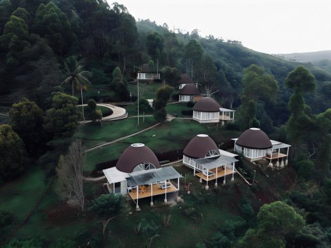 Manulalu Jungle