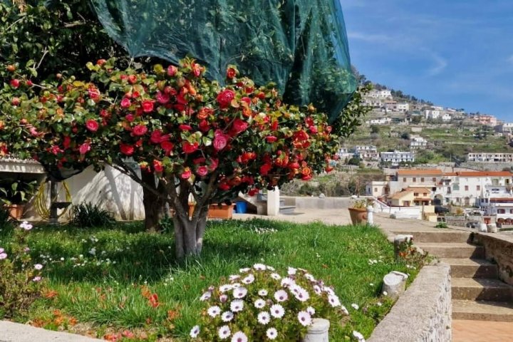 徒步爱好者的房子斯卡拉，欣赏Ravello海景(Trekking Lovers House Scala with Ravello Sea Views)