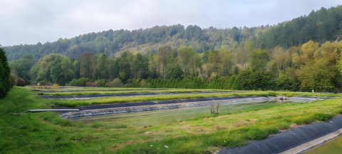 Le Moulin Aux Ecrevisses