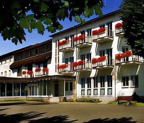 莱茵布吕克城堡酒店(Berghotel Rheinblick)