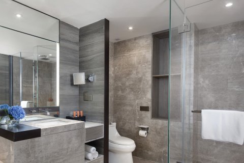 德清皇冠假日酒店(北湖东街店)