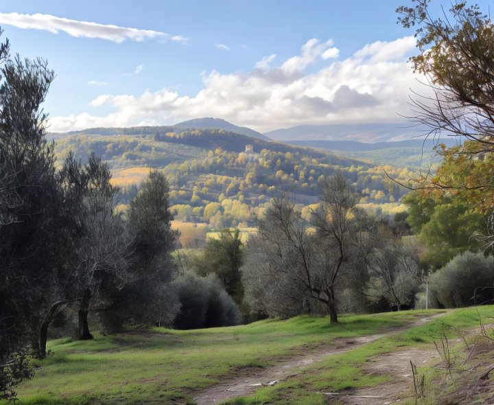 帕拉佐洛度假村 - 安吉亚里(Palazzolo Resort - Anghiari)