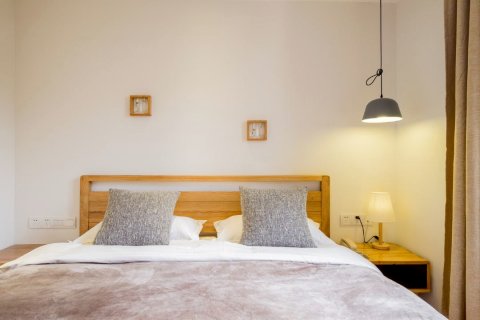 南岸晓风精品民宿(西湖店)