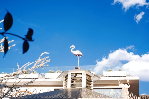 丽江火烈鸟主题客栈(白沙古镇店)