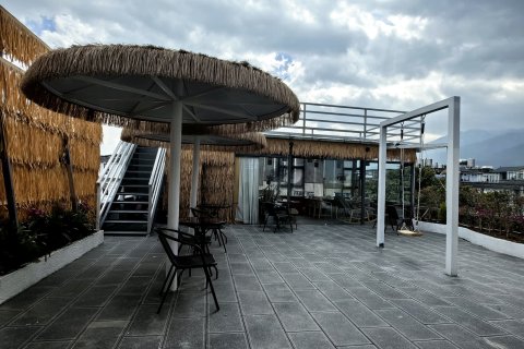 大理极浦水景别墅东门店