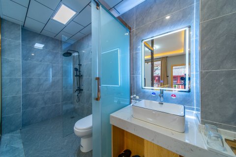 锦鸿山莊.Peafowls Nest.灵羽之境.丽江古城(大水车店)